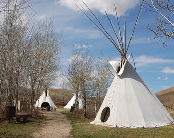 Tela TIPI 100% lona de algodón 15 oz 500 g/m² 10 - 33 pies