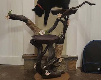 Driftwood Cat Tree