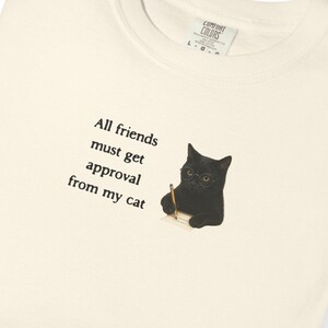 Unique Cat Lover Unisex T-Shirt Gifts for Cat Owners and Pet Lovers Sarcastic Tee for Introvert Quirky Shirt For Animal Lovers