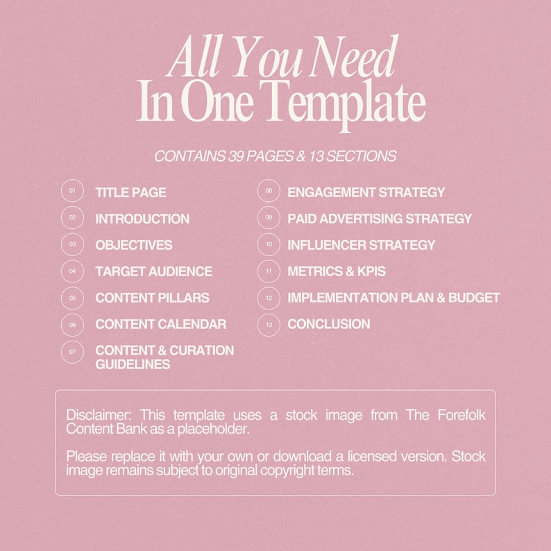 May include: A pink template titled "All You Need In One Template" with white text. It contains 39 pages and 13 sections, including a title page, introduction, objectives, target audience, content pillars, and content calendar. A disclaimer is at the bottom.