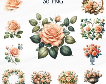 30 PNG 266 Rosa pêssego, clipart de primavera, clipart de flores, rosa pastel, papel digital de flores, clipart floral de primavera, uso comercial