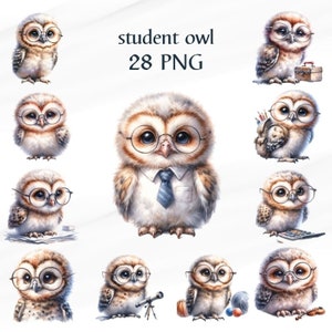 28 PNG Aquarell Schule Eule Clipart, süße Eule, Clipart Bundle, Geschenk für Kinder, Eule PNG Clipart, kommerzielle Nutzung