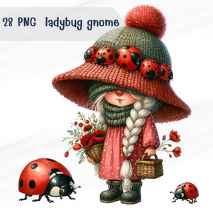 28 PNG Coccinella Gnomi Clipart Bundle, Clipart Coccinella, Clipart Bundle, Regalo per bambini, Clipart Animali Bambini, Uso Commerciale