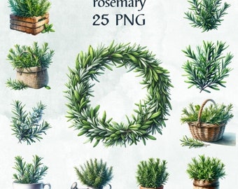 May include: A collection of 25 watercolor illustrations of rosemary plants in various arrangements, including a wreath, potted plants, and sprigs. The illustrations are on a white background with a watercolor texture.