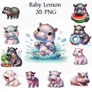 35 PNG aquarelle bébé hippopotame nain Clipart, bébé hippopotame png, Animal, clipart animaux mignons, pour carte, usage Commercial