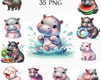 35 PNG Watercolor Baby Pygmy Hippo Clipart, Baby Hippo png,  Animal , Cute Animals Clipart, for card, Commercial Use