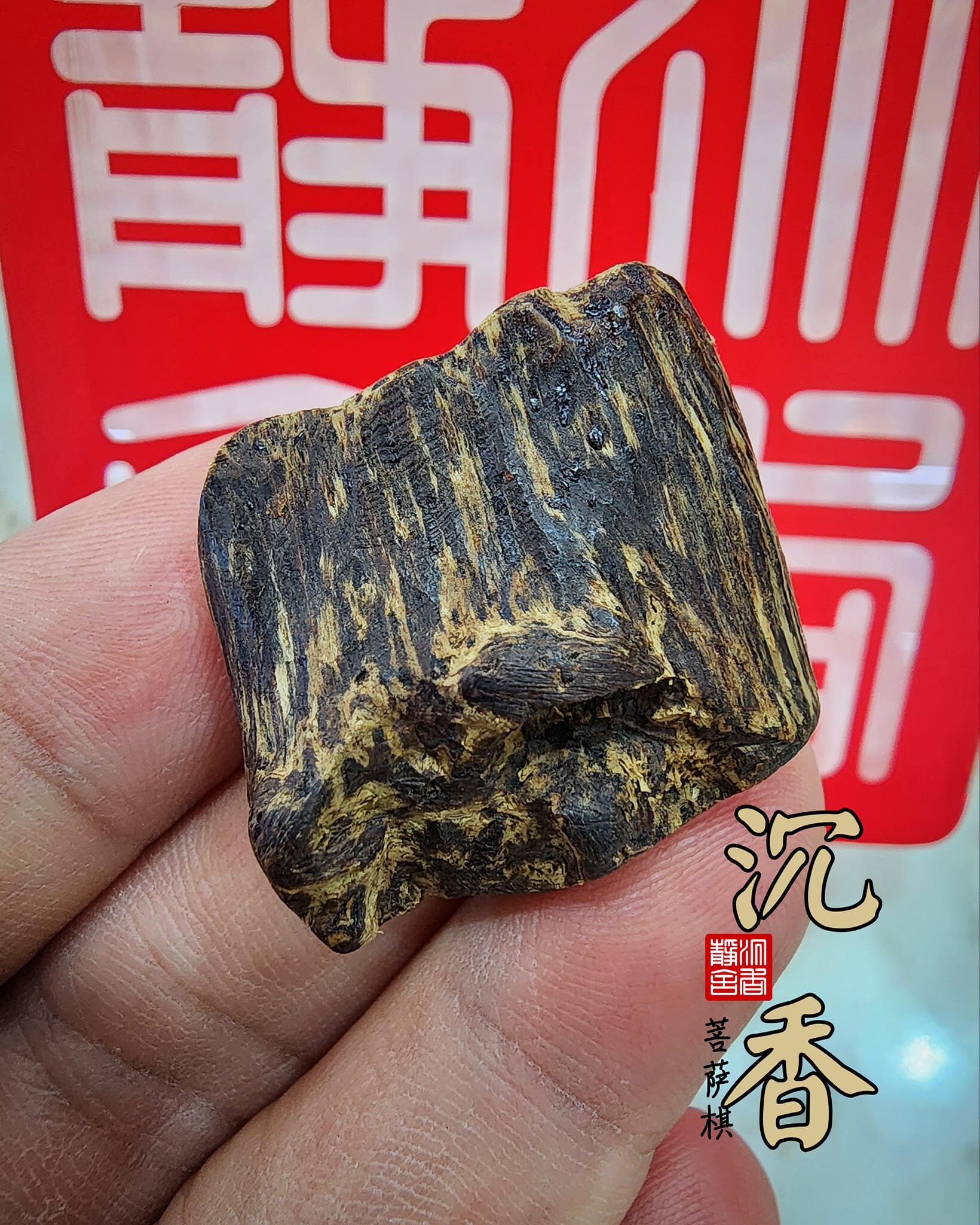 Agarwood Cambodia Pursat qi 沉香柬埔寨菩萨棋（绝版藏品）超软丝树心