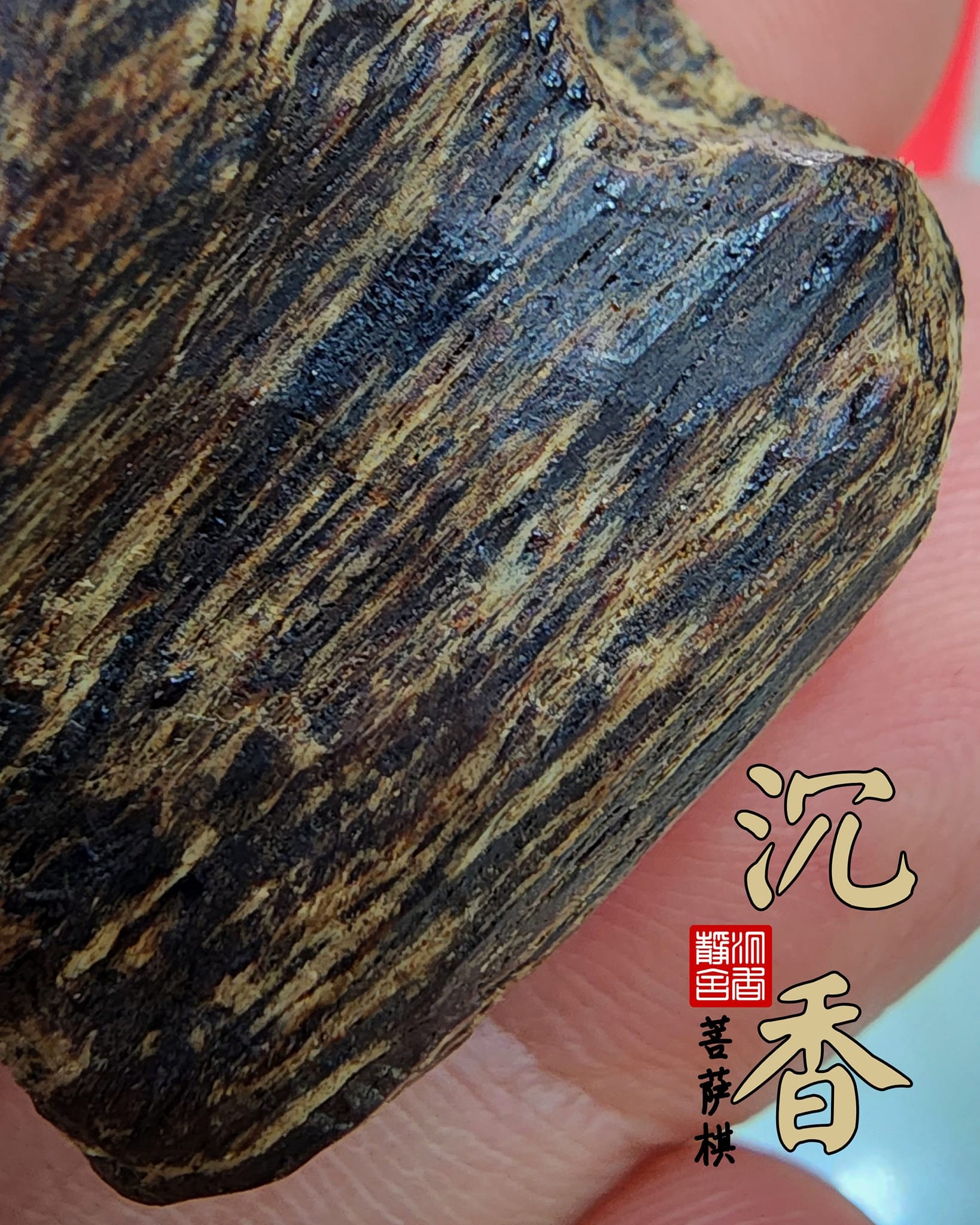 Agarwood Cambodia Pursat qi 沉香柬埔寨菩萨棋（绝版藏品）超软丝树心
