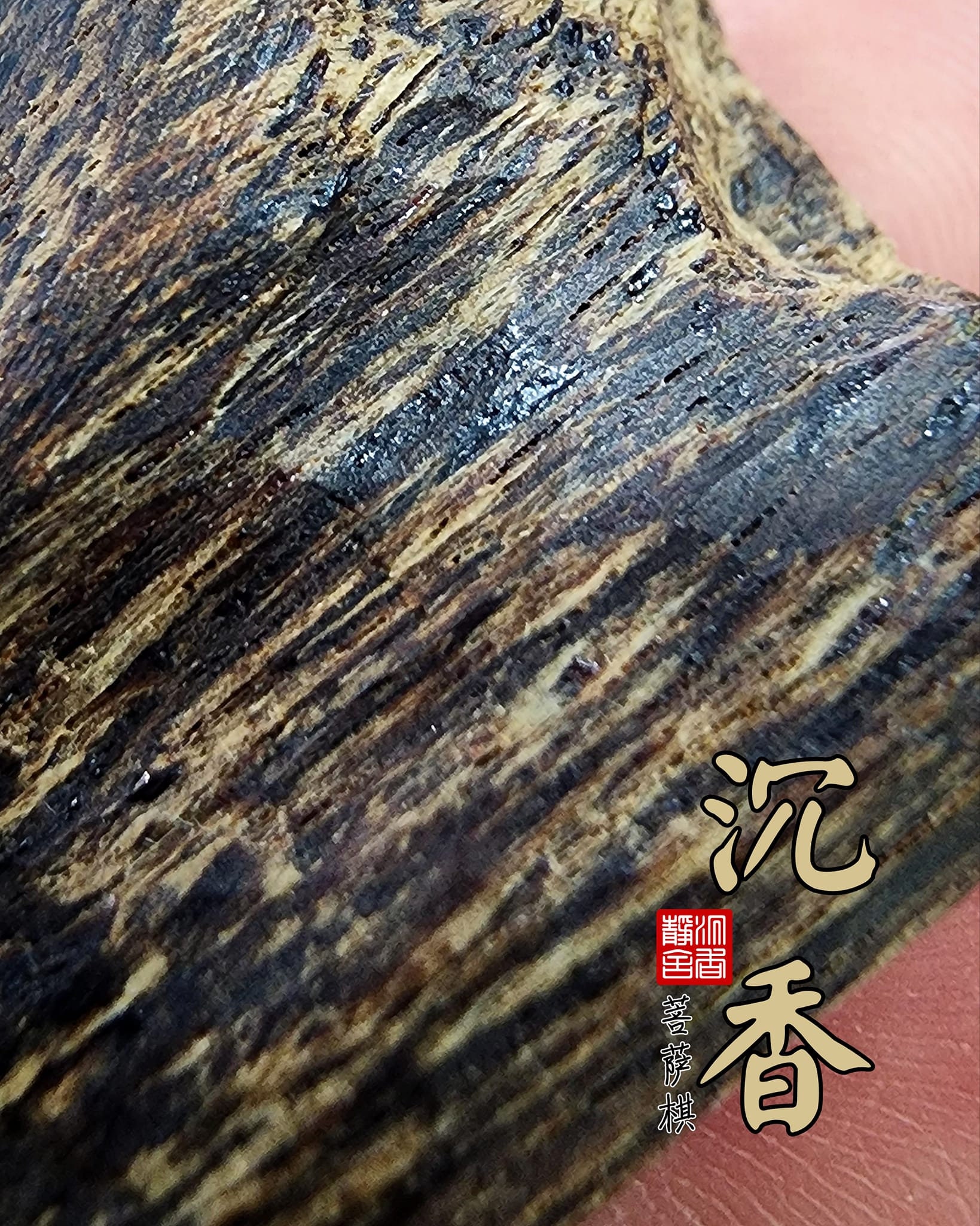 Agarwood Cambodia Pursat qi 沉香柬埔寨菩萨棋（绝版藏品）超软丝树心