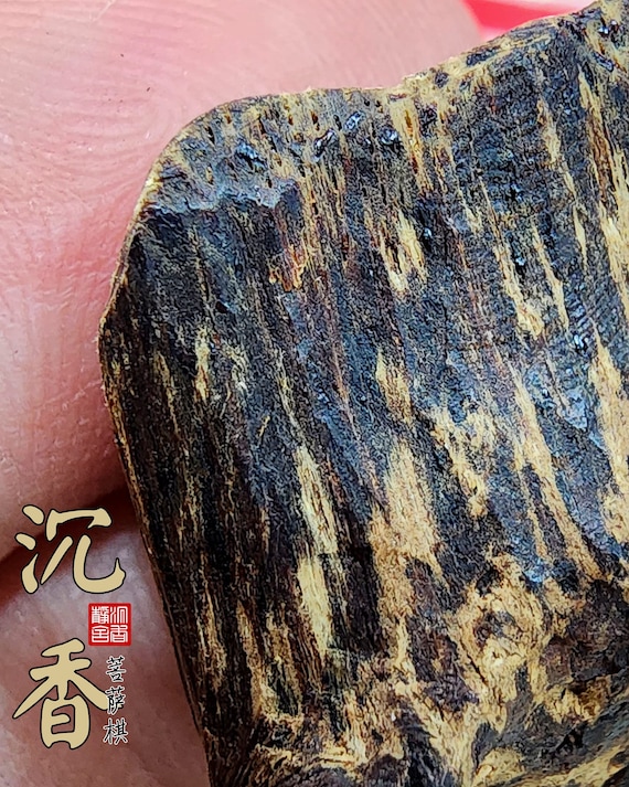 Agarwood Cambodia Pursat qi 沉香柬埔寨菩萨棋（绝版藏品）超软丝树心