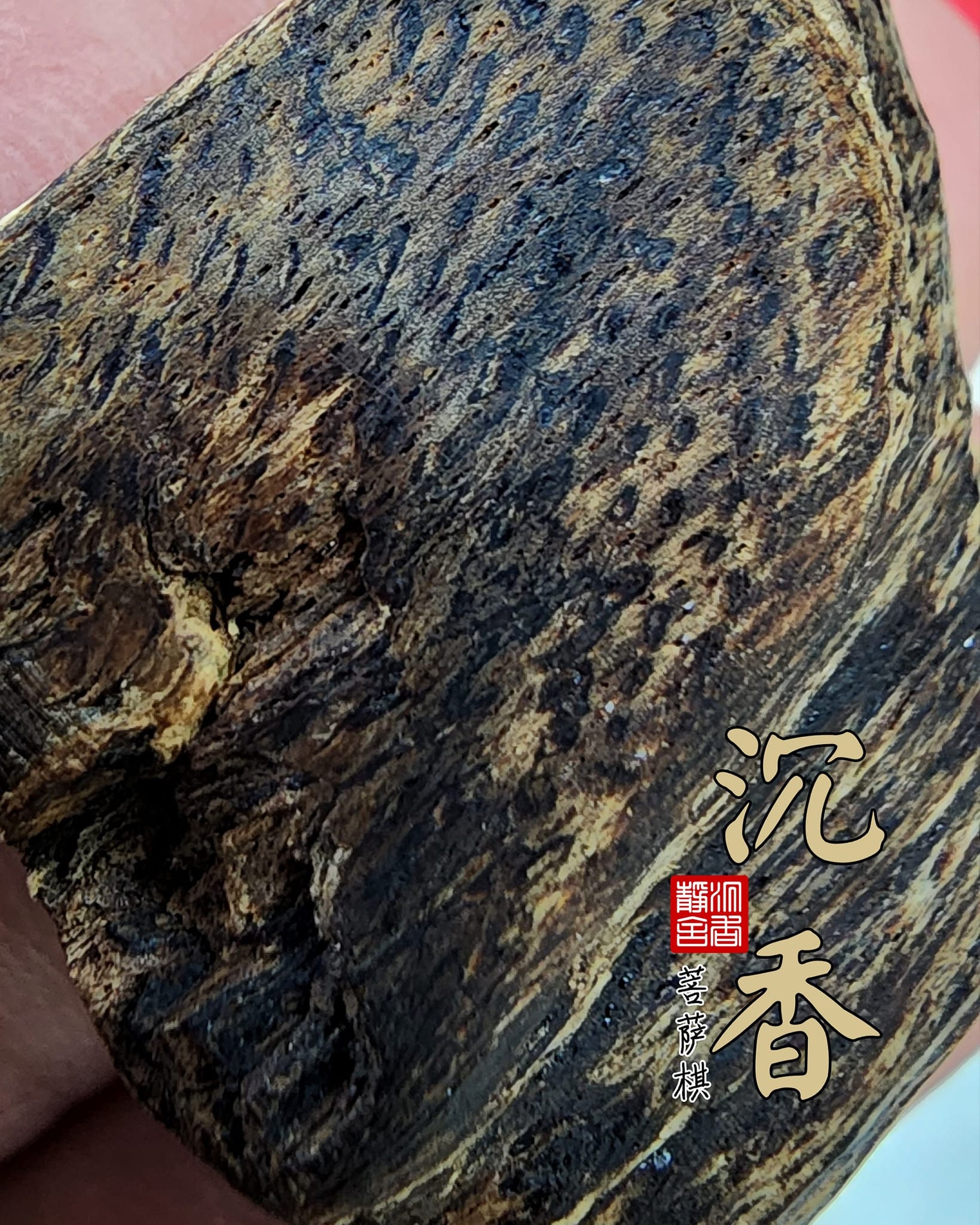 Agarwood Cambodia Pursat qi 沉香柬埔寨菩萨棋（绝版藏品）超软丝树心