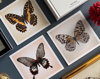 Juego de 3 postales de mariposas: ¡comparte la elegancia de las mariposas!
