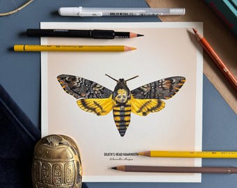 Impresión giclée de Bellas Artes de la Polilla Halcón de la Cabeza de la Muerte – Acherontia atropos