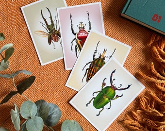 Juego de 4 postales: ¡Comparte la maravilla de los escarabajos!