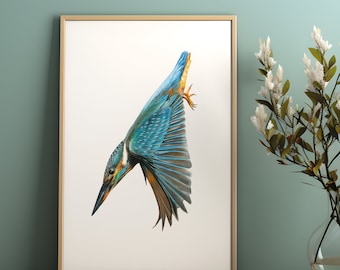 Kingfisher diving - Fine Art Giclée print