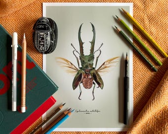 Escarabajo ciervo metálico Impresión Giclée de Bellas Artes – Cyclommatus metallifer