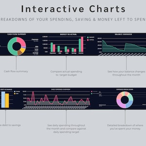 May include: Interactive charts showing breakdowns of spending, saving, and money left to spend. The charts include a cash flow summary, budget vs. actual spending, balance overview, debt vs. savings, daily expenses overview, and expenses breakdown.