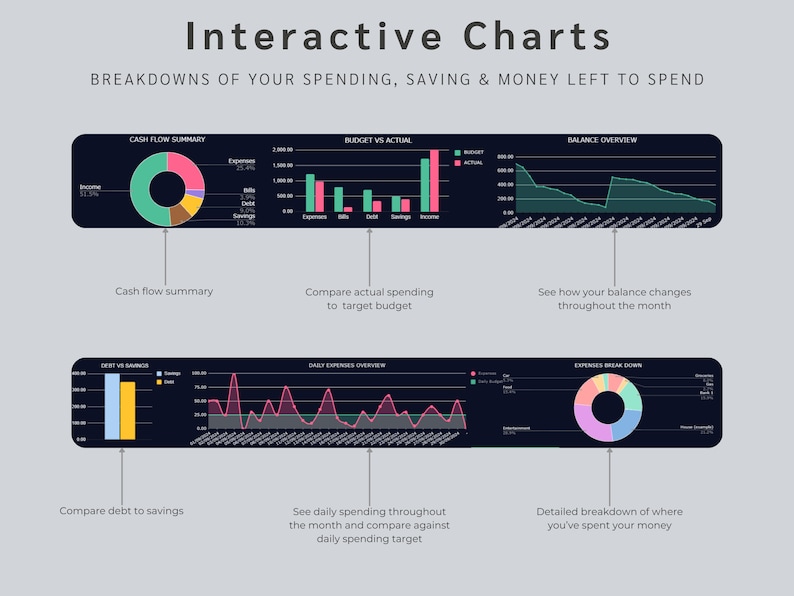May include: Interactive charts showing breakdowns of spending, saving, and money left to spend. The charts include a cash flow summary, budget vs. actual spending, balance overview, debt vs. savings, daily expenses overview, and expenses breakdown.