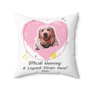 Personalized Dog Pillow / Cartoon Style Pet Portrait with Funny Text / Custom Gift for Dog Lovers / Personalized Photo to Cartoon