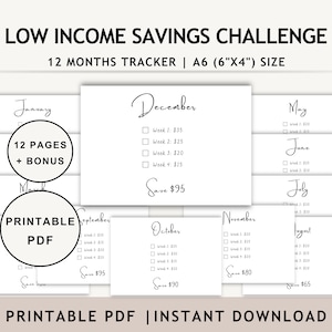 Low Income Monthly Savings Challenge Printable, A6 Mini Savings Tracker, Money Saving Challenge Bundle, 1000 Cash Savings Binder, PDF