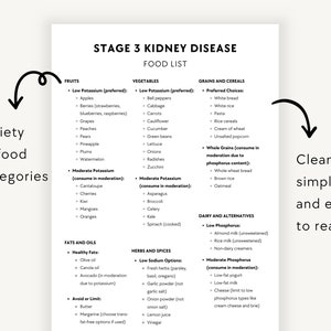 Stage 3 Kidney Disease Food List, CKD Renal Diet PDF, Kidney-friendly ...