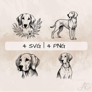 American Foxhound SVG Bundle, Foxhound PNG, Floral Foxhound Clipart, handgezeichnete Foxhound Hund Bilder zum Drucken und Gravieren