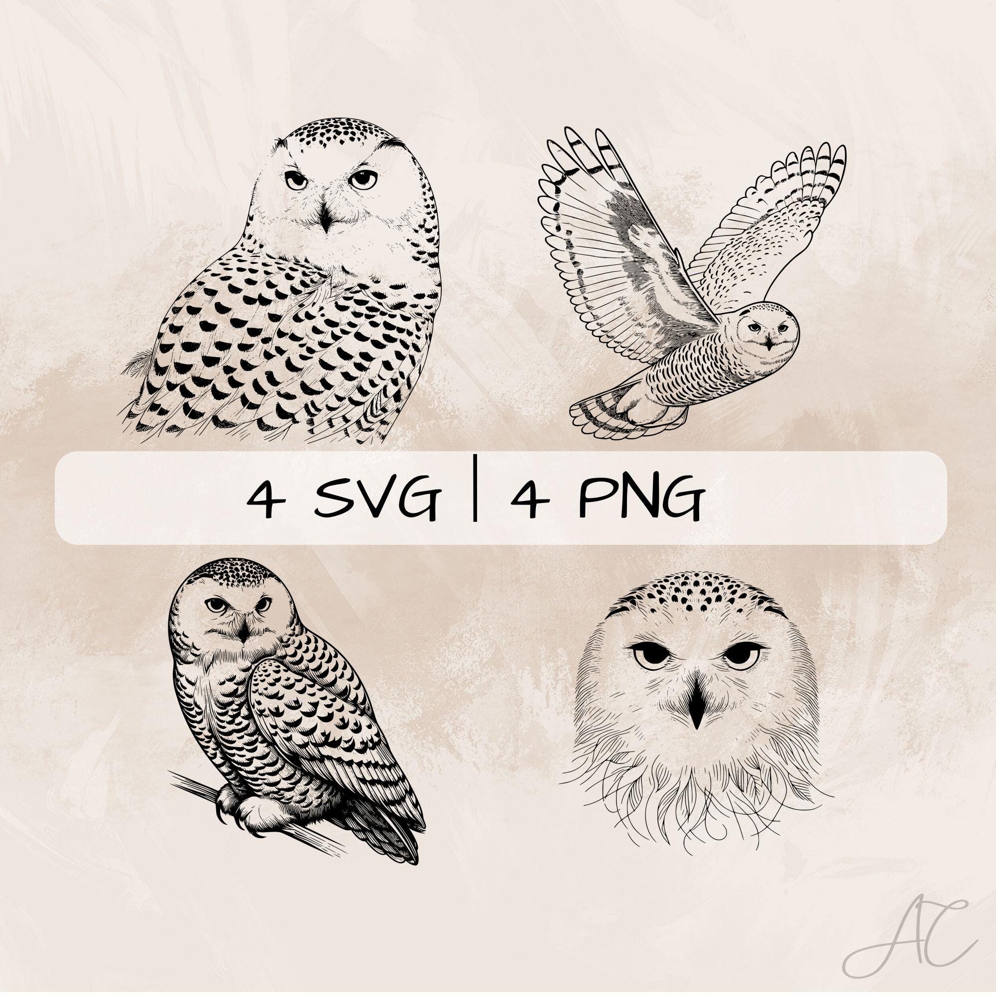 Lanterne Hibou des neiges - VBS Hobby