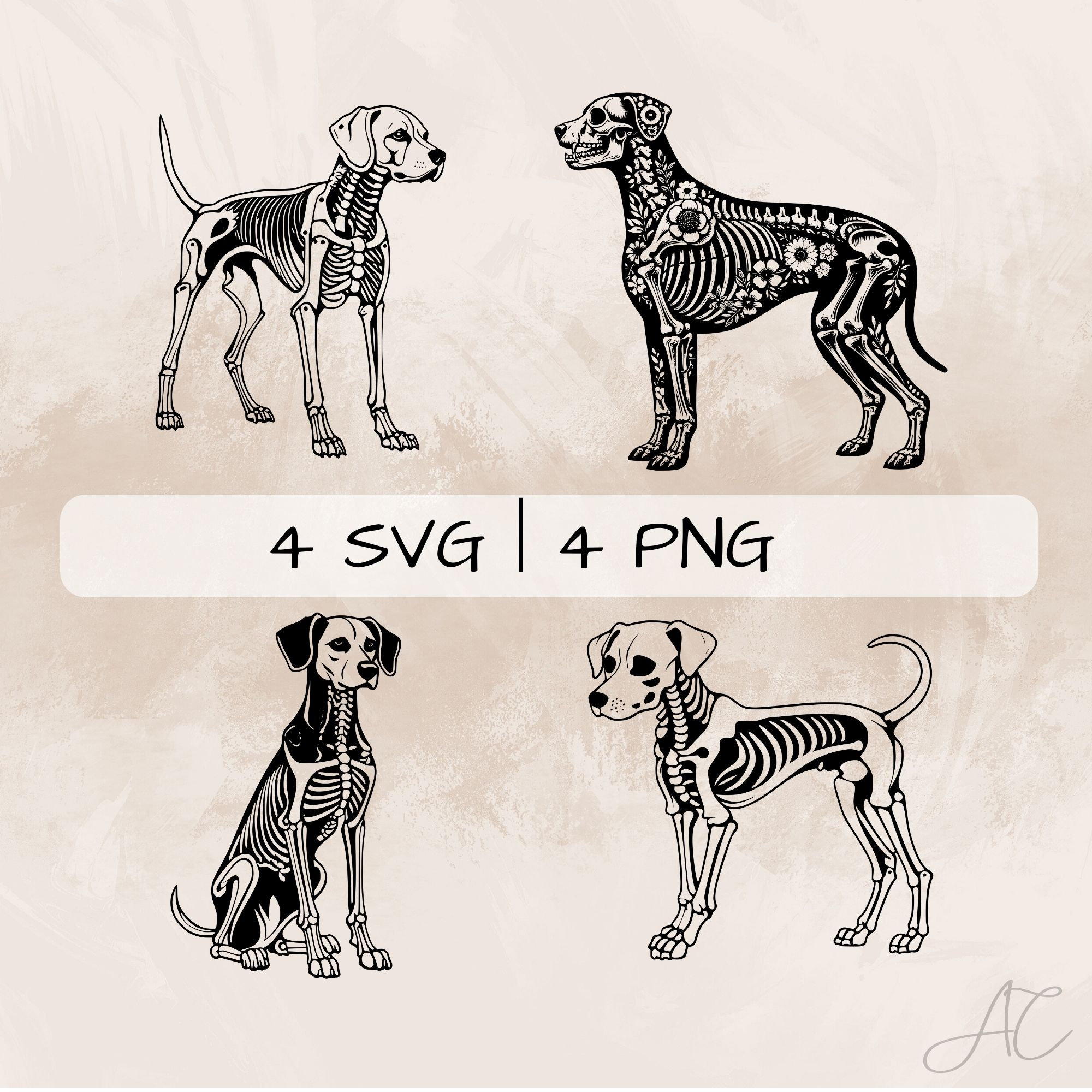 Realistic dog skeleton SVG, Dog PNG, Skeleton Clipart, Vector, Hand drawn realistic dog skeleton pictures for print and engraving