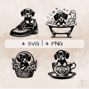Dachshund SVG bundle, Peeking Dachshund PNG, Dachshund in bath Clipart, Hand drawn Dachshund pictures for print and engraving