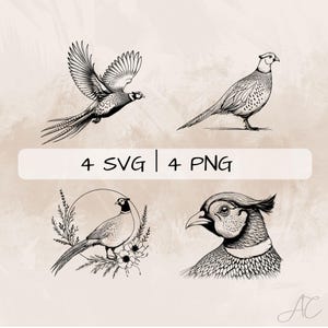 May include: Four black and white line drawings of pheasants. One pheasant is standing with its wings down, another is flying with its wings spread, and the other two are in profile with their heads turned.