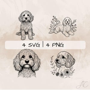 Puede incluir: Cuatro ilustraciones en blanco y negro de un perro Goldendoodle en varias poses. La imagen incluye el texto "4 SVG | 4 PNG". Las ilustraciones de perros están sobre un fondo neutro.