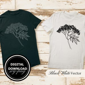 Elderberry SVG Bundle, Sambucus PNG, Elder Branch Clipart, Hand drawn Berries pictures for print and engraving