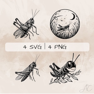 Grasshopper SVG bundle, Grasshopper scene PNG, Cute Grasshopper Clipart, Hand drawn Grasshopper pictures for print and engraving