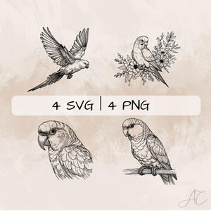 May include: Black and white line art illustrations of parrots in various poses. One parrot is in flight, while others perch or are surrounded by floral elements. The image includes the text "4 SVG | 4 PNG".