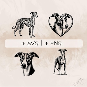Whippet SVG Bundle, Greyhound PNG , Whippet Face Clipart, Hand drawn Whippet pictures for print and engraving