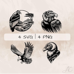 Andean Condor SVG Bundle, Andean Condor Flying PNG ,Andean Condor Clipart, Hand drawn Andean Condor pictures for print and engraving