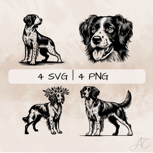 Lot SVG Epagneul Breton, chien breton PNG, Clipart visage Epagneul Breton, images dessinées à la main pour impression et gravure