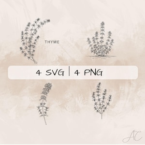 May include: Four black and white line drawings of thyme plants. The text "THYME" and "4 SVG | 4 PNG" are also included in the image.