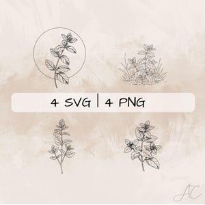 Puede incluir: Cuatro dibujos en blanco y negro de plantas de menta. La primera imagen muestra una sola planta de menta en un círculo. La segunda imagen muestra un grupo de plantas de menta. La tercera y cuarta imagen muestran plantas de menta individuales.