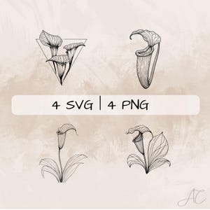Pitcher Plant SVG Bundle, Pitcher Plant PNG , Carnivorous plant Clipart, Hand drawn Pitcher Plant pictures for print and engraving