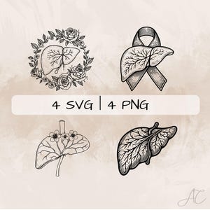 Liver SVG Bundle, Floral Liver PNG ,Liver Clipart, Hand drawn Liver pictures for print and engraving