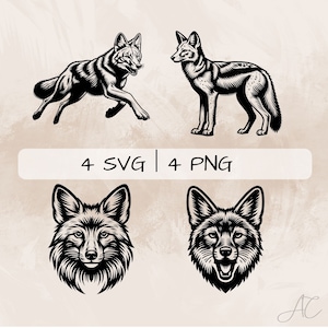 Puede incluir: Cuatro ilustraciones en blanco y negro de un chacal de lomo negro. Dos ilustraciones muestran el cuerpo completo del chacal, uno de pie y otro corriendo. Las otras dos ilustraciones muestran la cabeza del chacal, una con la boca cerrada y otra con la boca abierta.