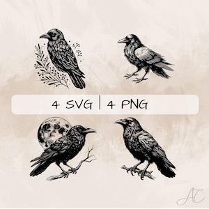Raven SVG Bundle, Crow PNG, Floral Raven Clipart, Hand drawn Raven pictures for print and engraving