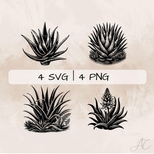 Aloe Vera SVG Bundle, Aloe Vera Flower PNG ,Succelent Clipart, Hand drawn Aloe Vera pictures for print and engraving