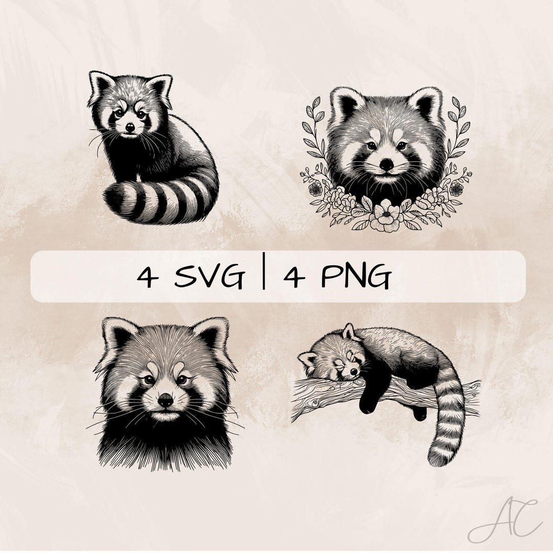 Delicate Red Panda SVG Bundle, Red Panda Line Art PNG, Cute Red Panda ...