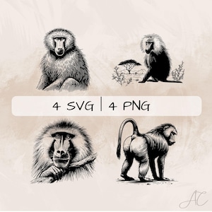 Baboon SVG Bundle, Monkey PNG, Baboon on Tree Clipart, Hand drawn Baboon pictures for print and engraving