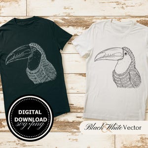 Toucan SVG Bundle, Toucan Bird PNG ,Toucan Clipart, Hand drawn Toucan pictures for print and engraving