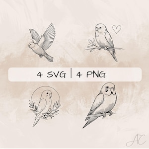 Lovebird SVG Bundle, Lovebird Line Art PNG, Floral Lovebird Clipart, Hand drawn Lovebird and Flowers pictures for print and engraving