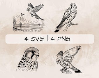 Paquete SVG de cernícalo, cernícalo americano PNG, clipart de cernícalo, imágenes de cernícalo dibujadas a mano para imprimir y grabar