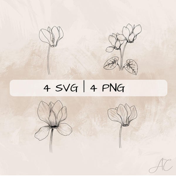 Paquete SVG de ciclamen, flor de ciclamen PNG, clipart de violeta alpina, imágenes de ciclamen dibujadas a mano para imprimir y grabar